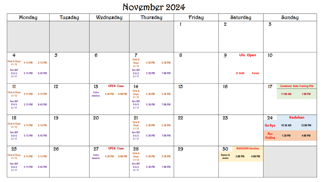 Class Schedule - November 2024-1.pdf